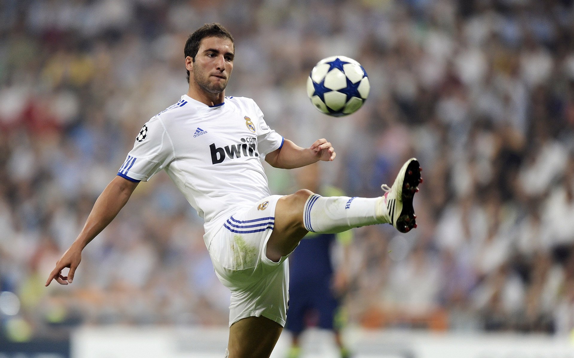 中国足球国家队建立体能波动预警体系，国家足球队体能教练