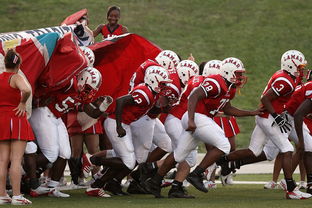 爱游戏下载-球迷助威声点燃比赛氛围，球迷助威口号